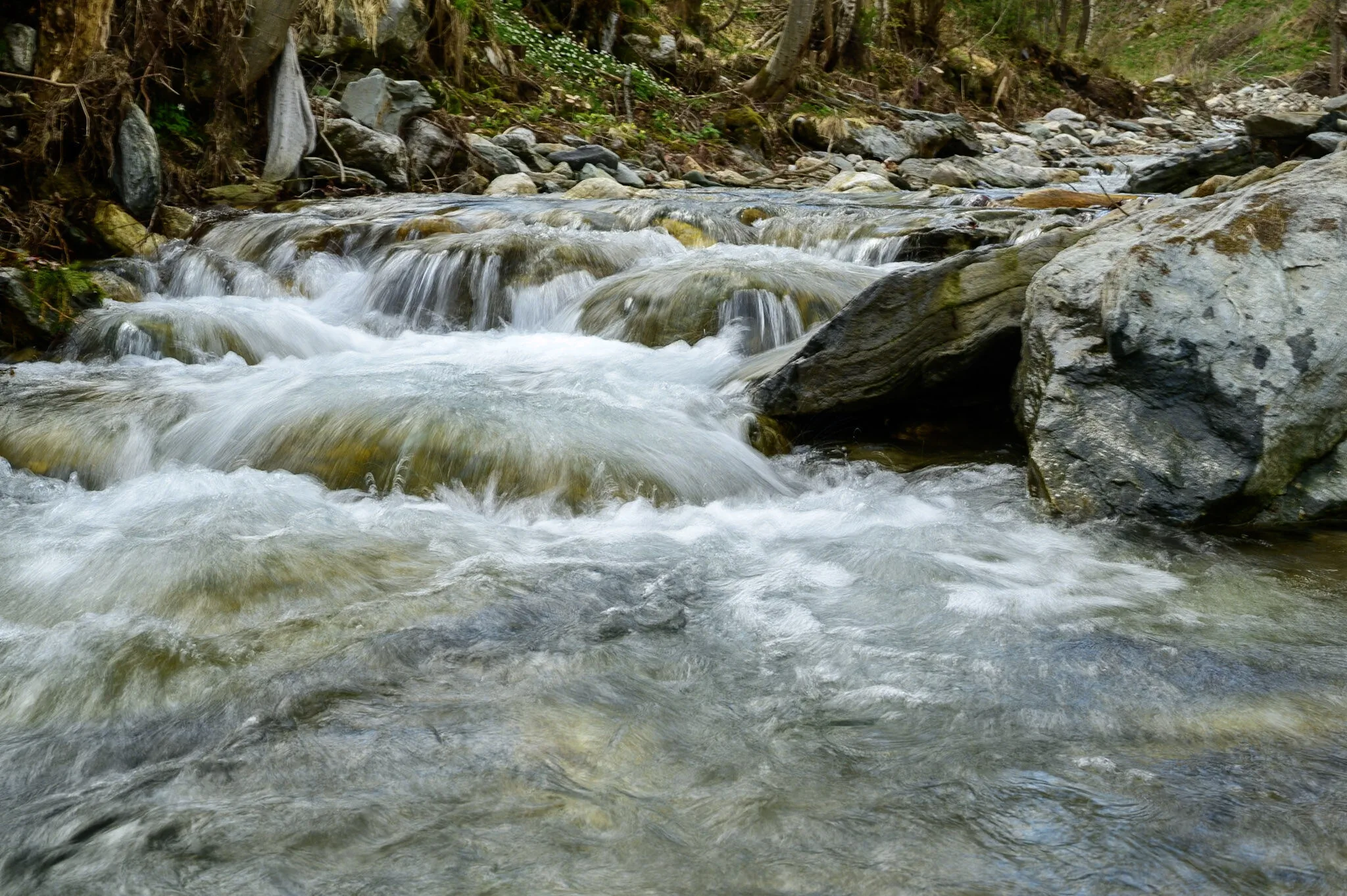 Apartmán LYRA – Vrbno pod Pradědem, Republica Cehă