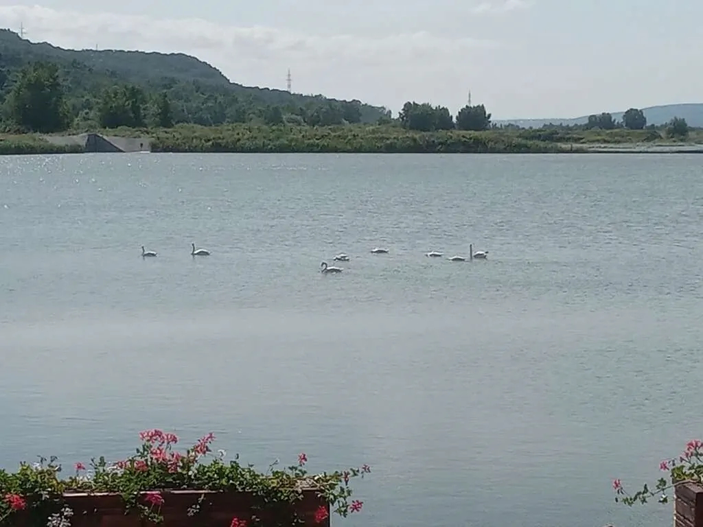 Lagos Lac de Pescuit Camping Căiuți – Căiuți, România