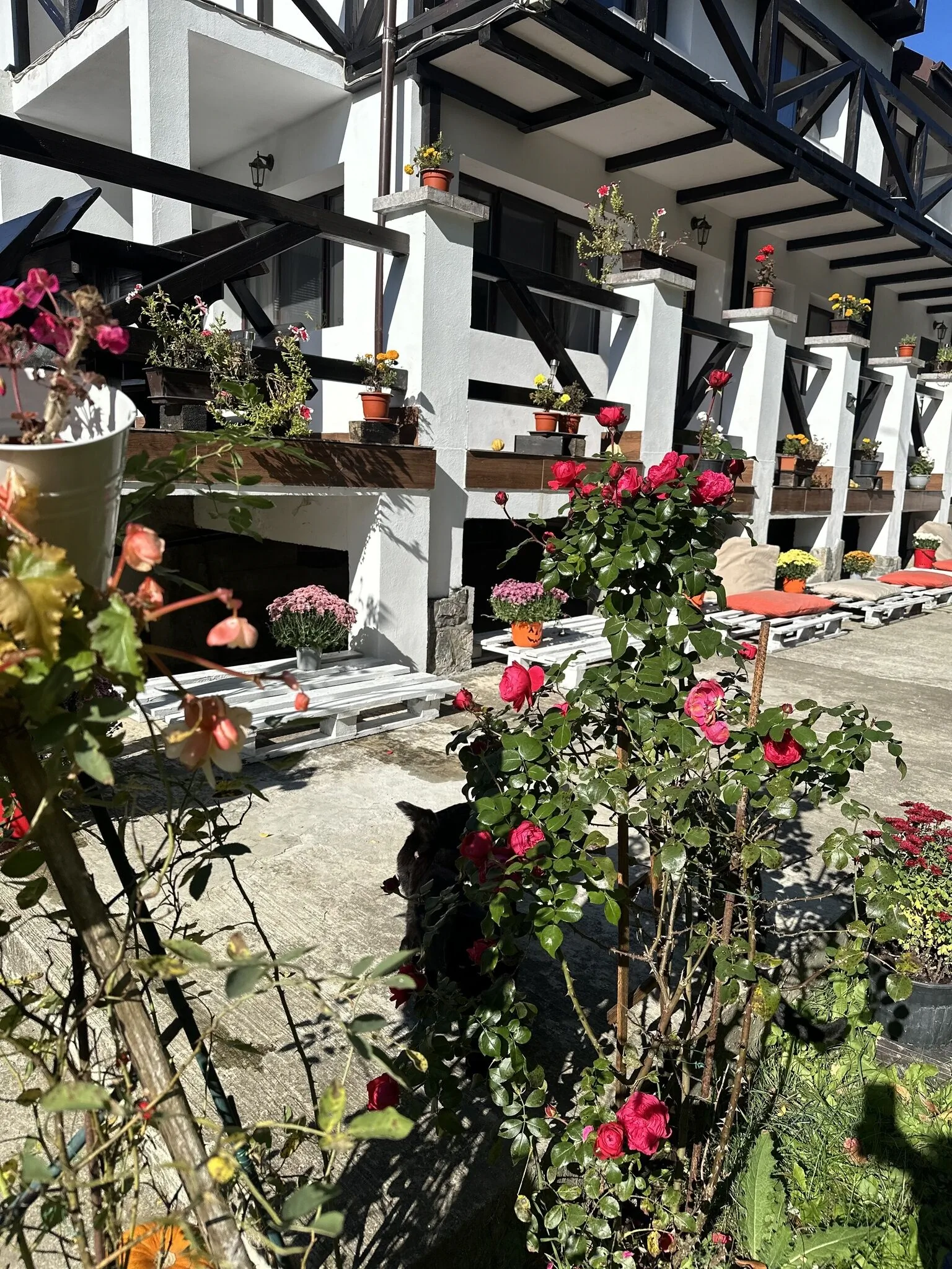 Murmur Chalet Breaza – Breaza, România