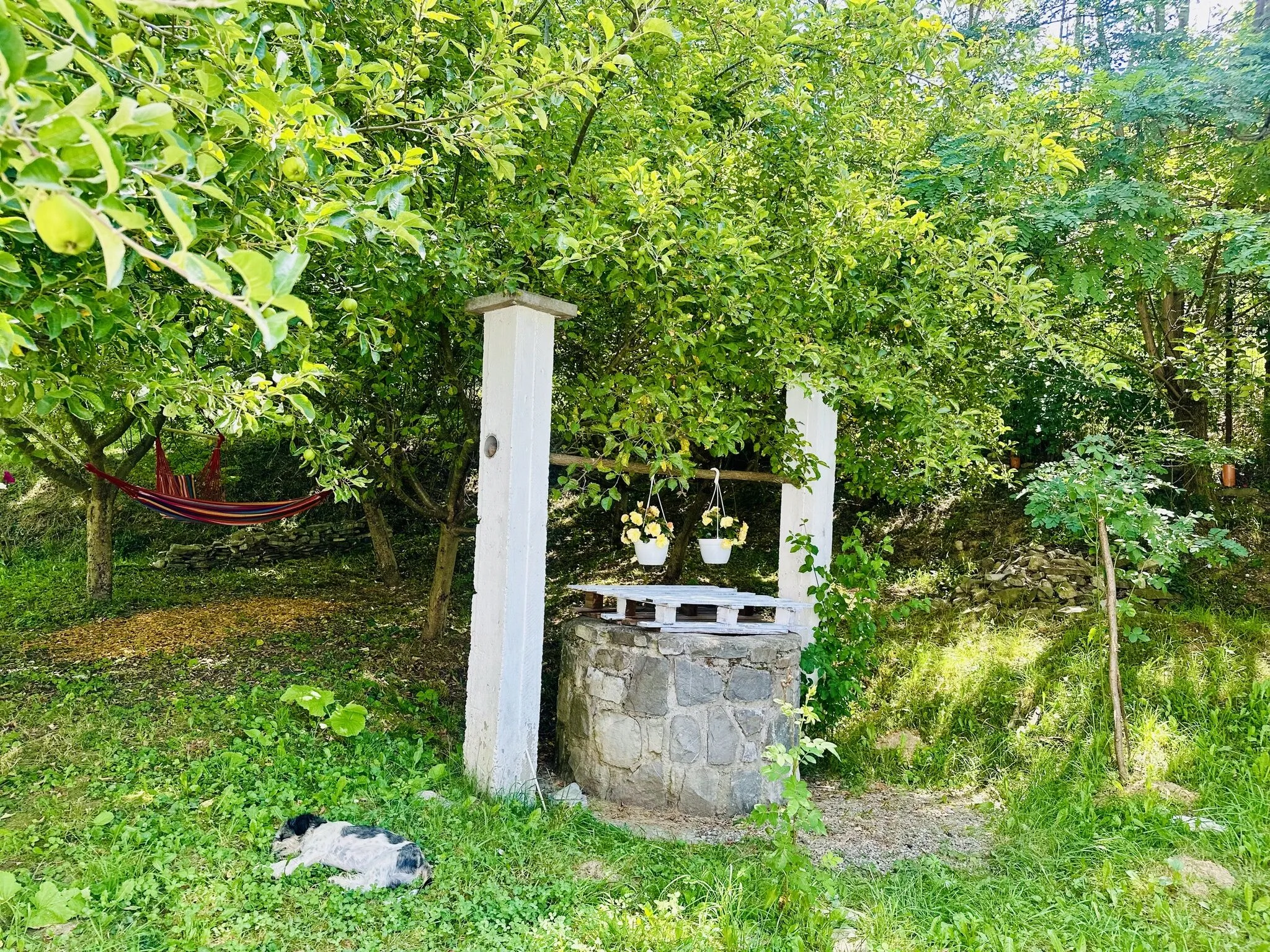Murmur Chalet Breaza – Breaza, România