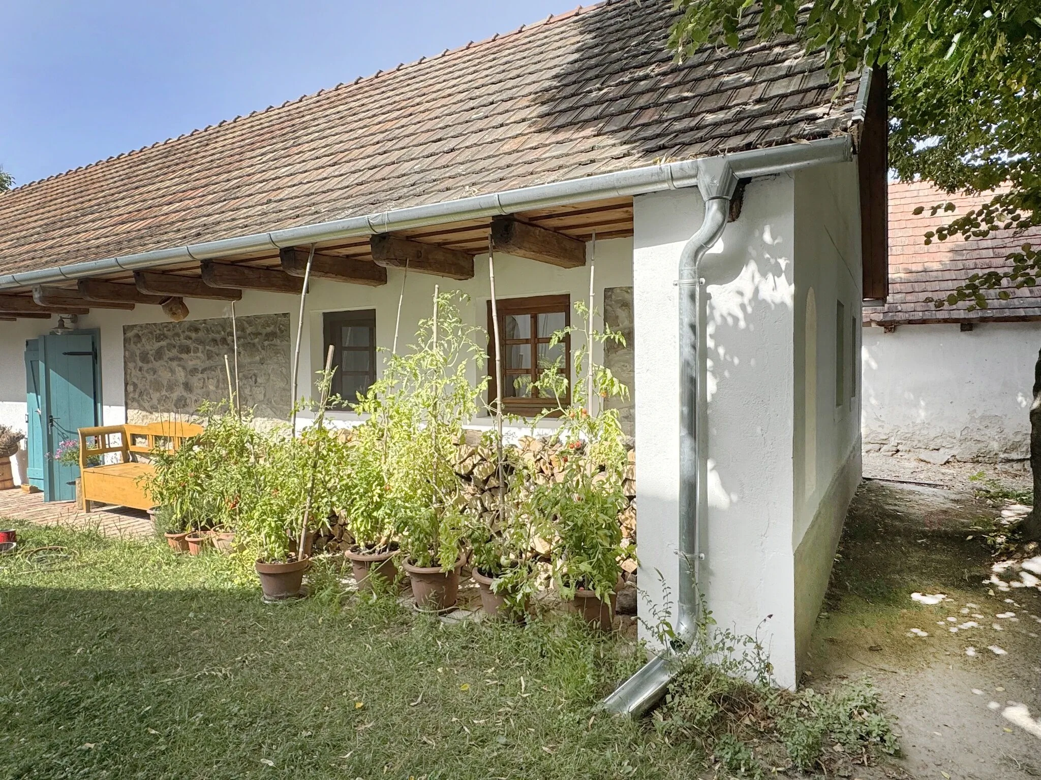 Monostor Anno Apartman Szigetmonostor - foto 5