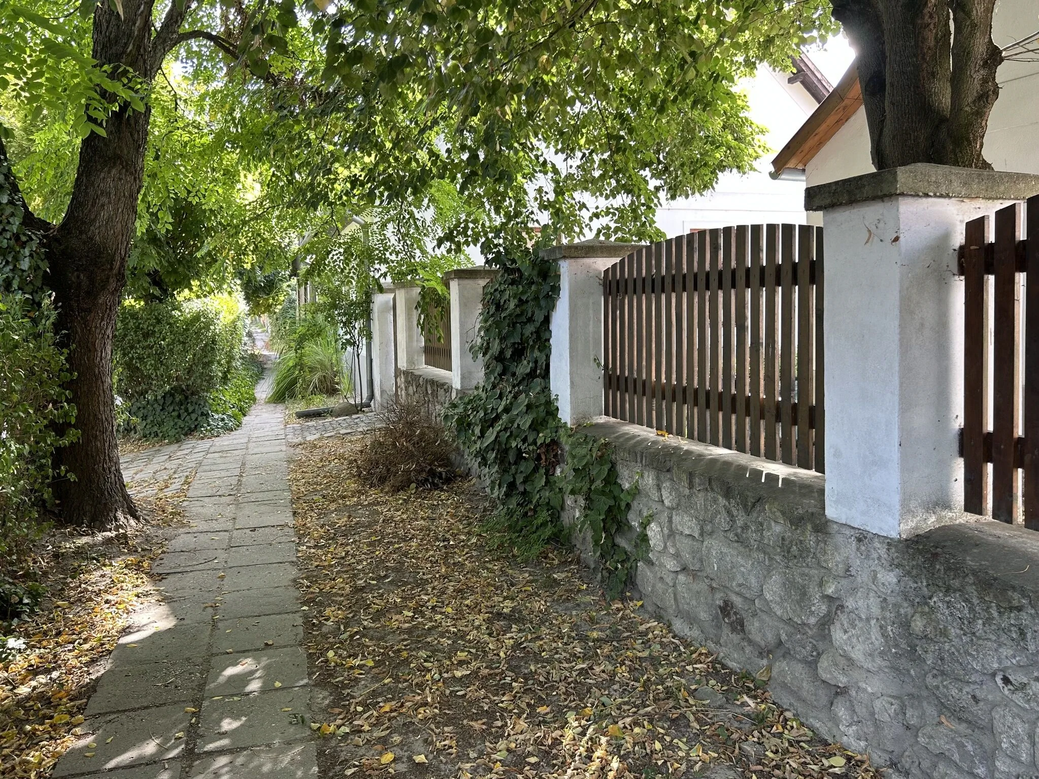 Monostor Anno Apartman Szigetmonostor - foto 6