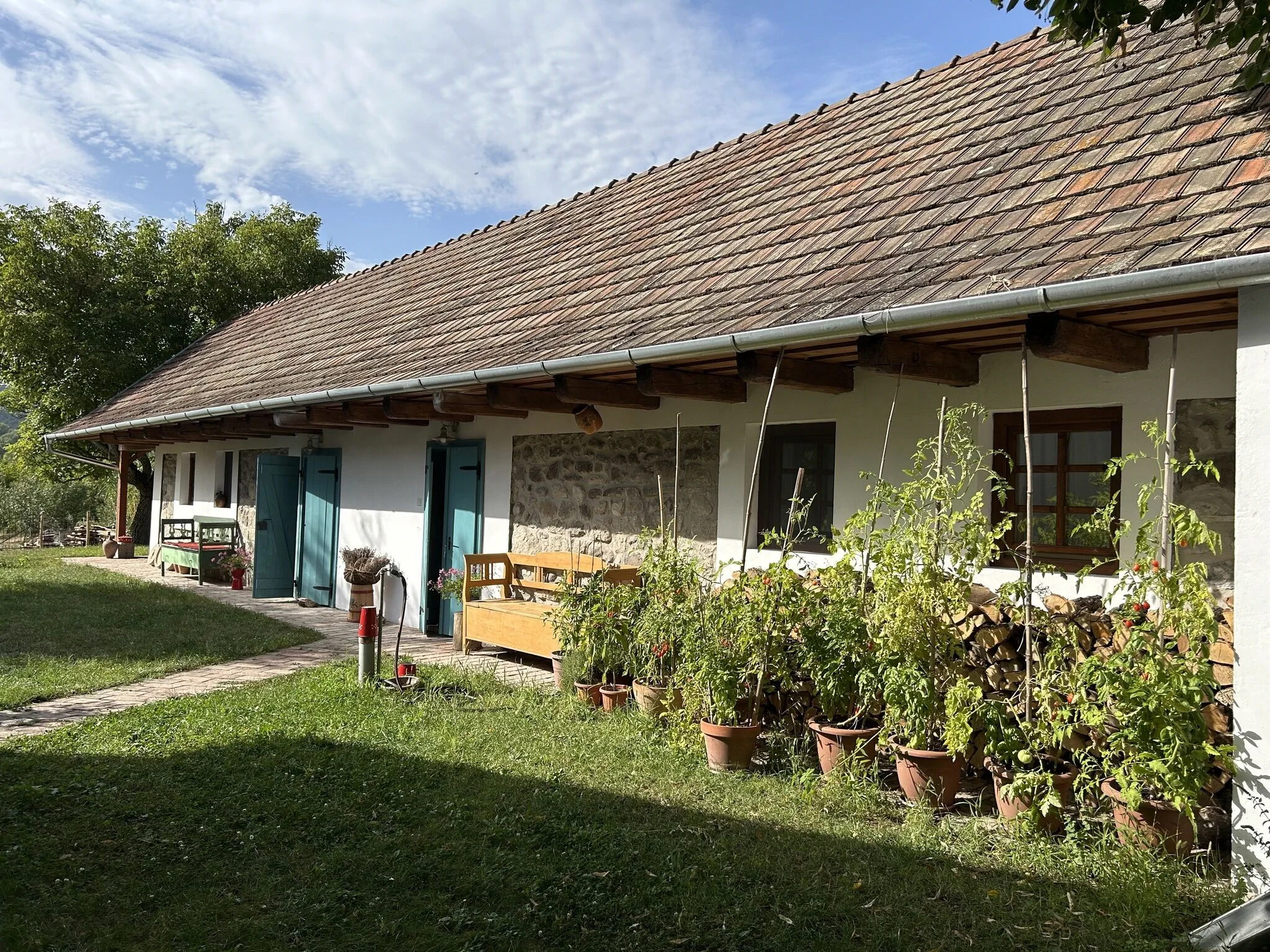 Monostor Anno Apartman Szigetmonostor - foto 7