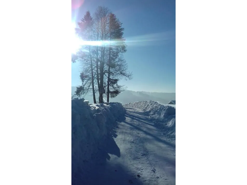 Chata Wielki Potok - Apartamenty Istebna - foto 3