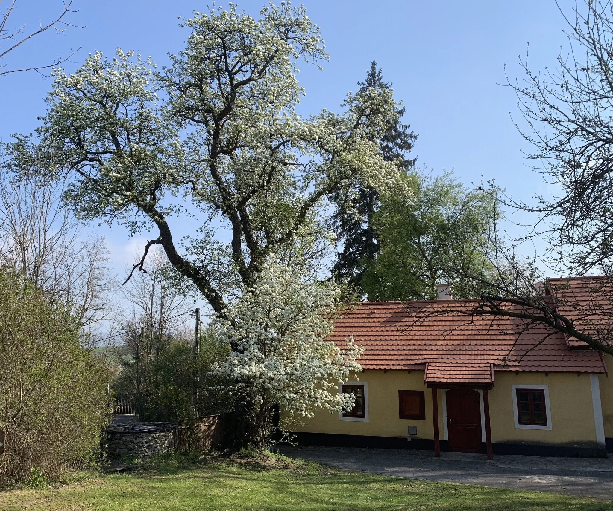 Kapolcsi Kecskekő Vendégház - foto 8