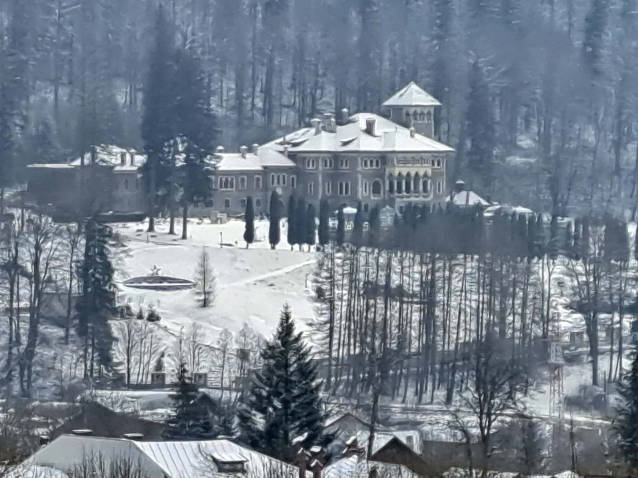 Pensiunea Navigator Bușteni - foto 3