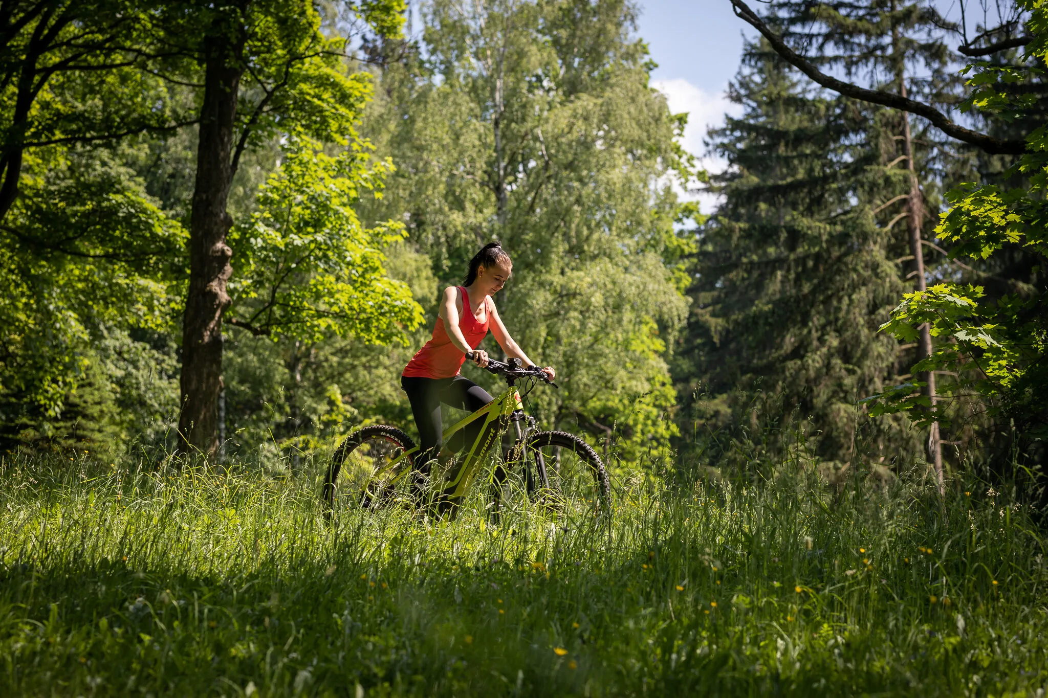 Wellness & Spa hotel Villa Regenhart – Jeseník, Česká republika