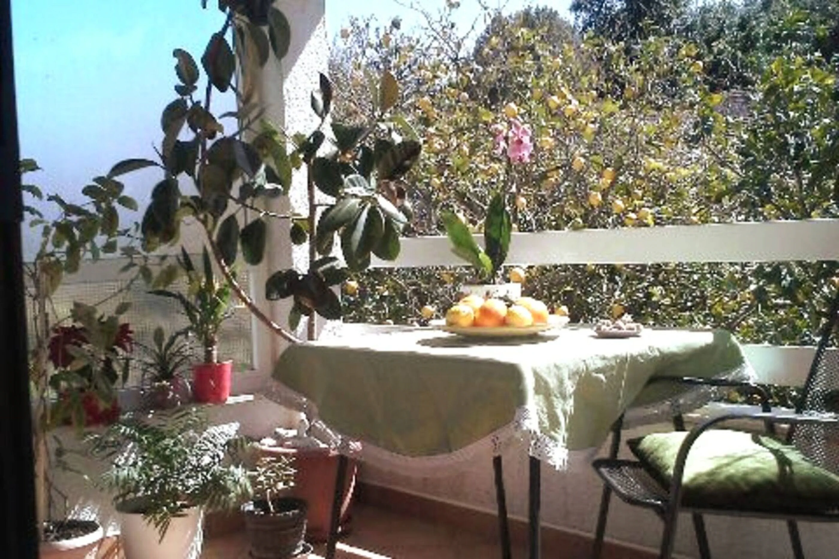 Apartment Jadris Loviste – Lovište, Croația
