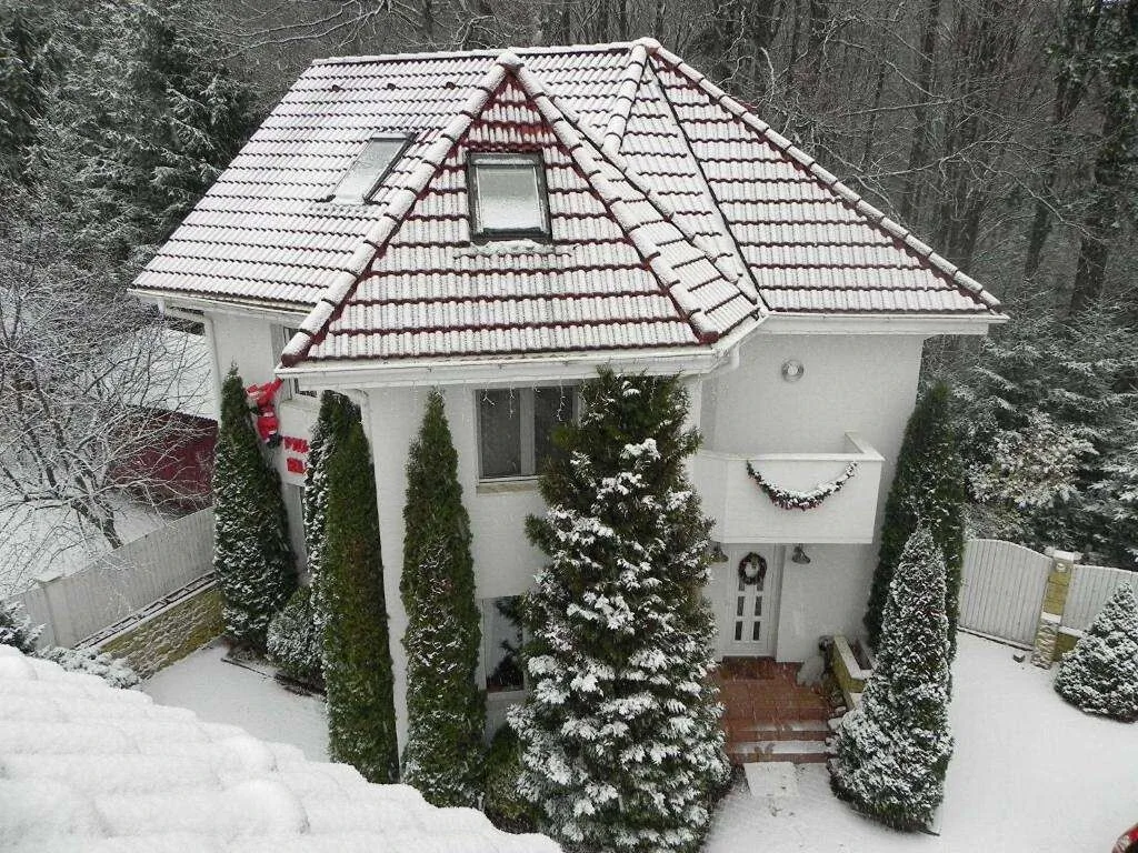 FOREST RETREAT Luxury Villas Buşteni - foto 2