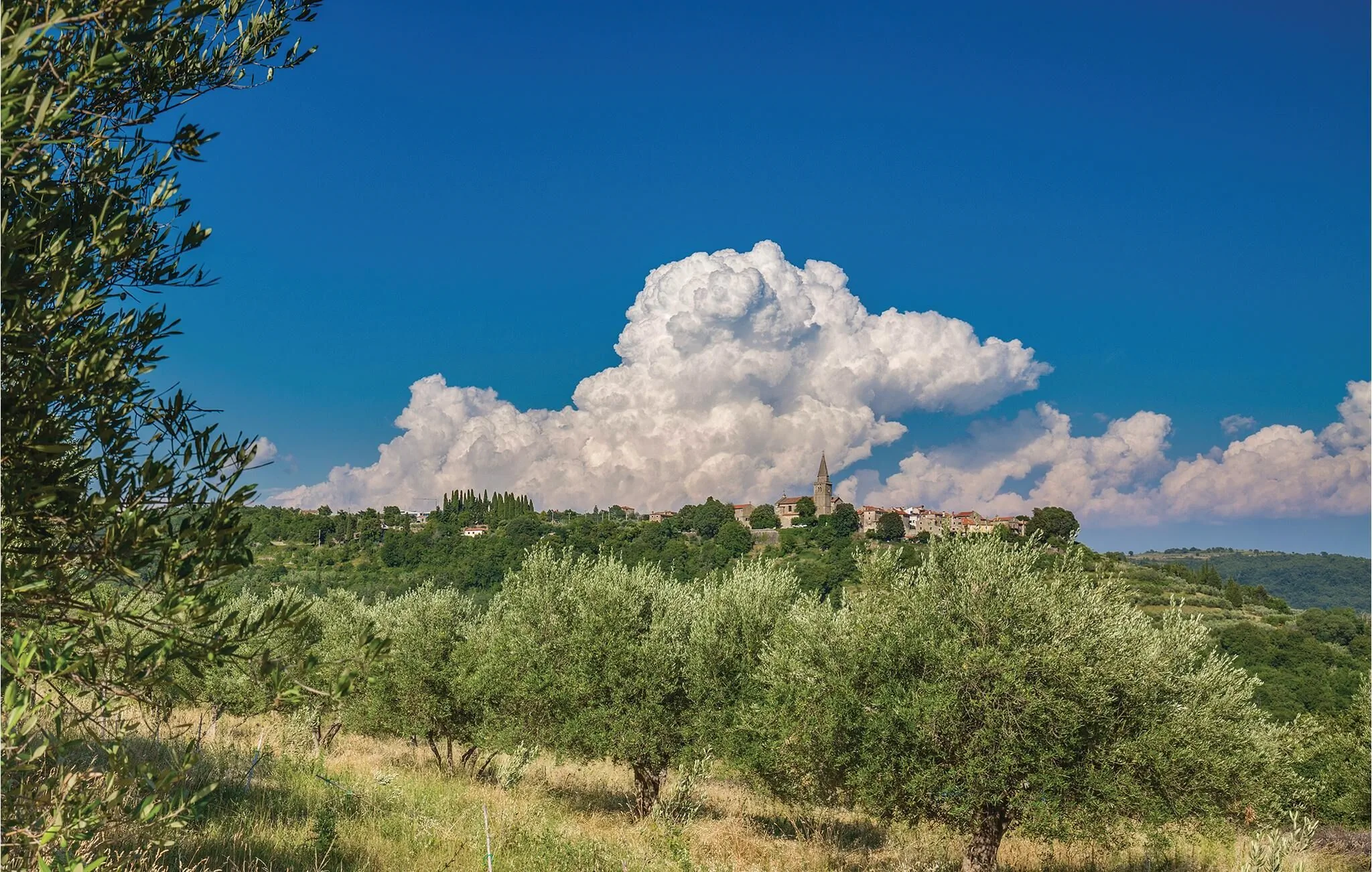 Vendégház Grožnjan - Grisignana - CIS391 – Grožnjan, Croația