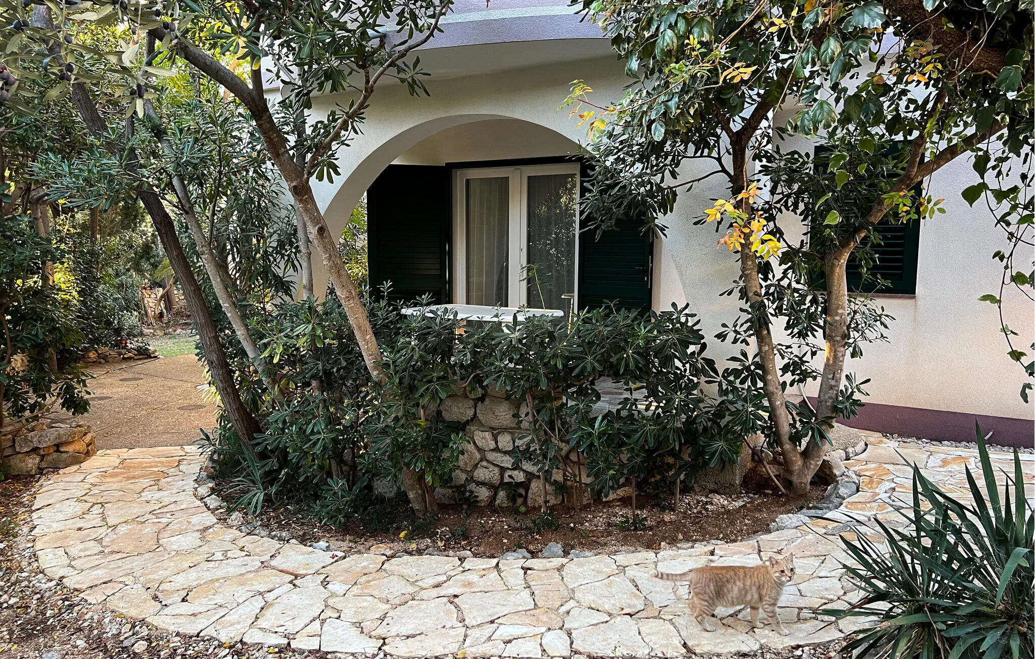 Apartman Novalja - CKD132 - foto 6