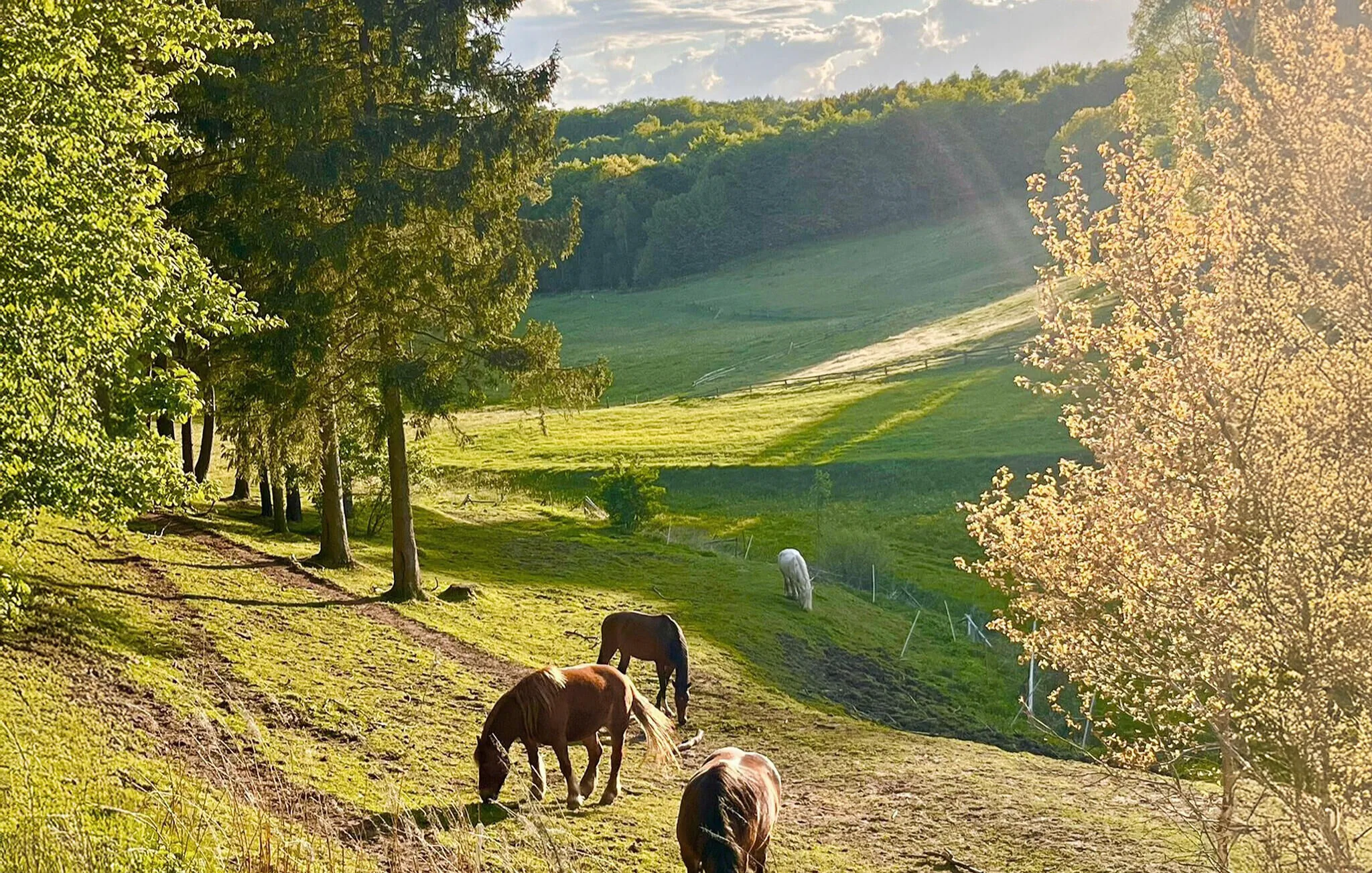 Vendégház Kartuzy - PKA770 – Kartuzy, Polonia