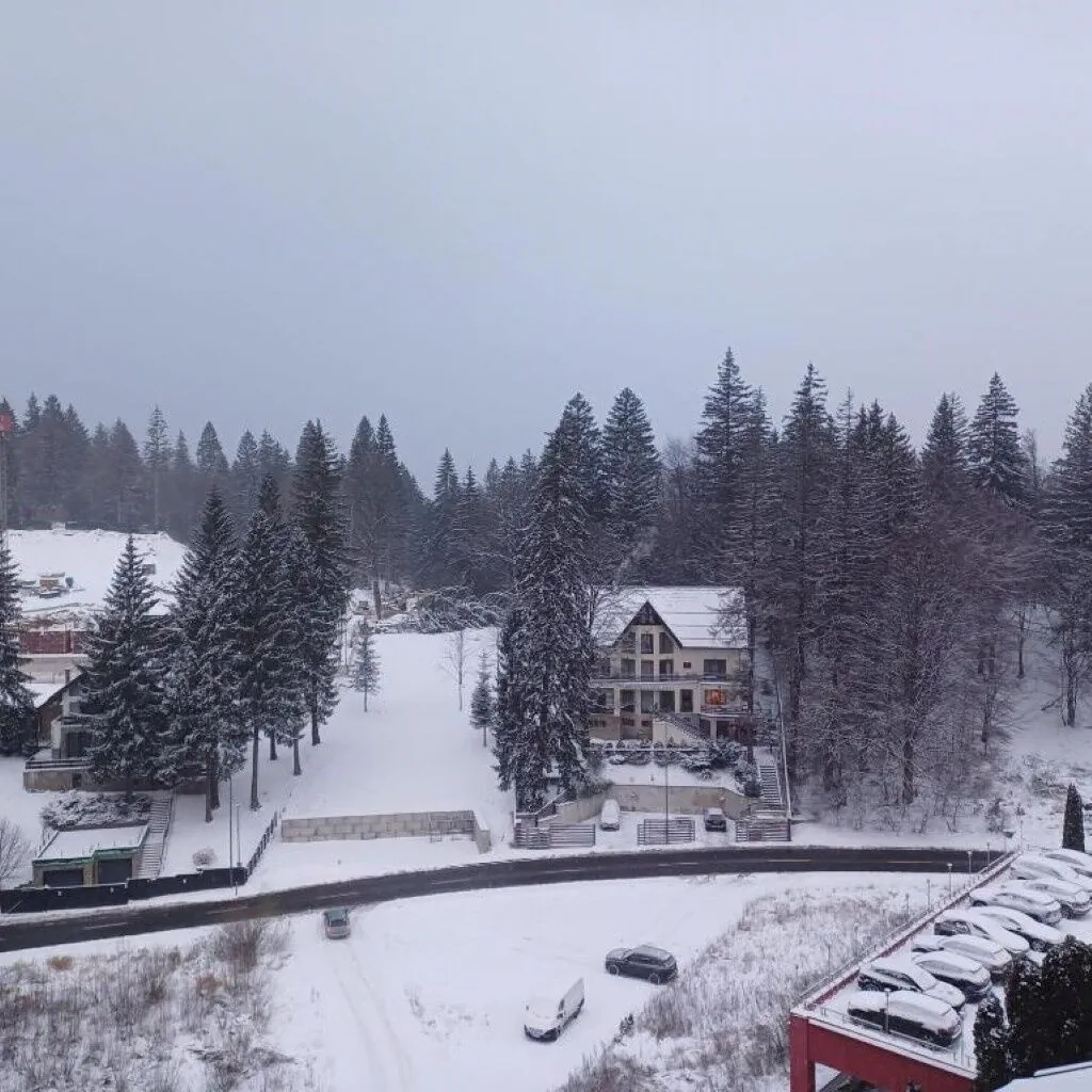 Vila Cristalfrost Poiana Brașov – Poiana Brasov, România