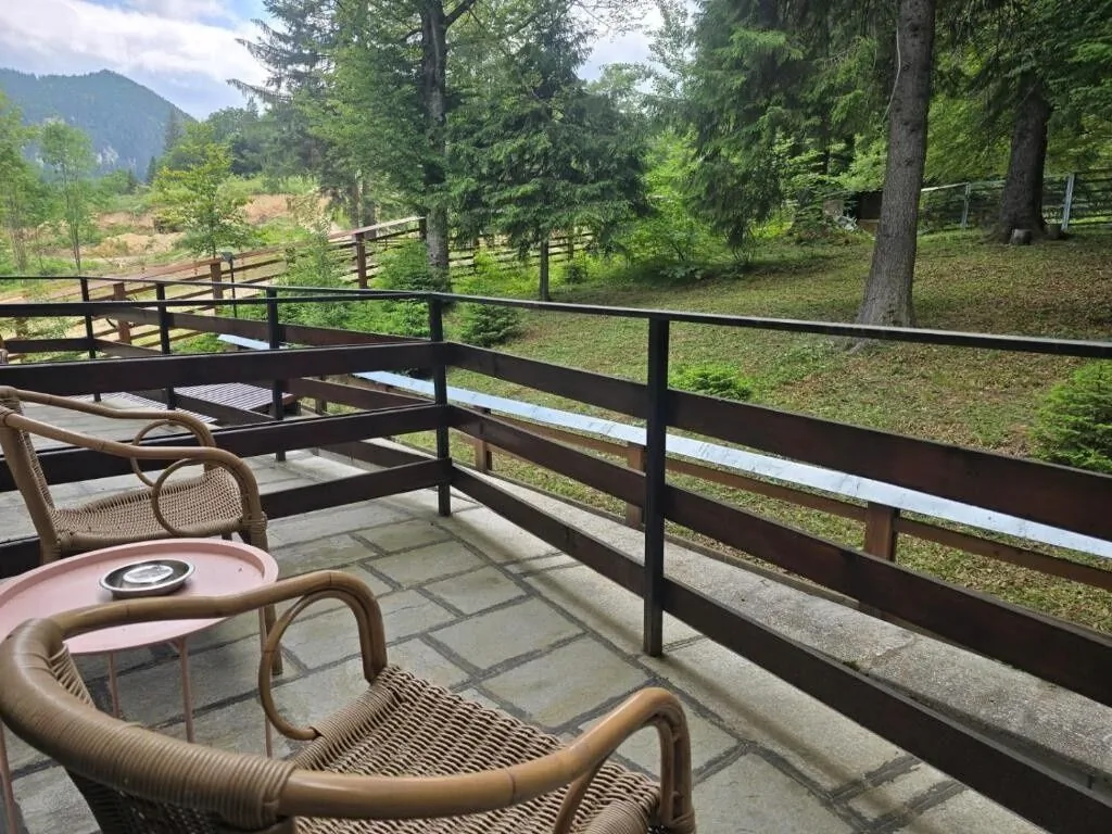 Vila Cristalfrost Poiana Brașov – Poiana Brasov, România