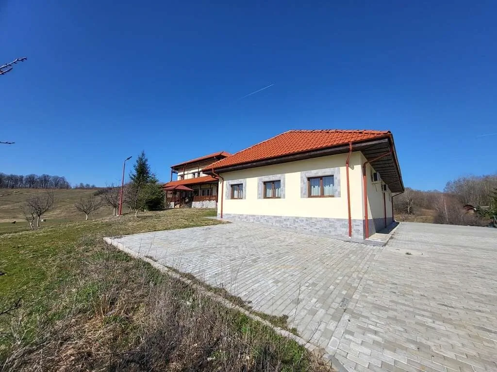 Pensiunea Conacul Domniței Dăeşti - foto 3