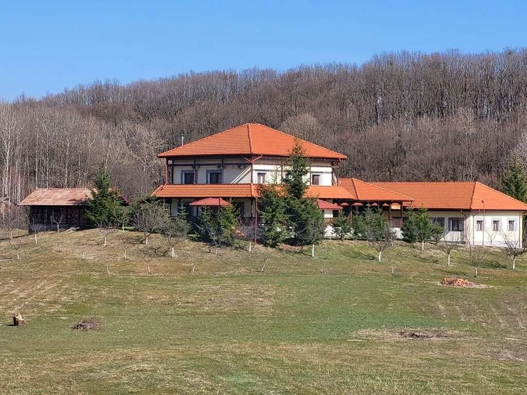 Pensiunea Conacul Domniței Dăeşti - foto 9