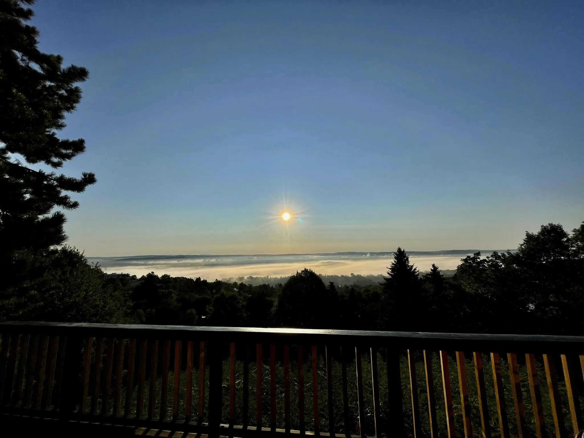 Black Pine Cabin Szentendre – Szentendre, Ungaria