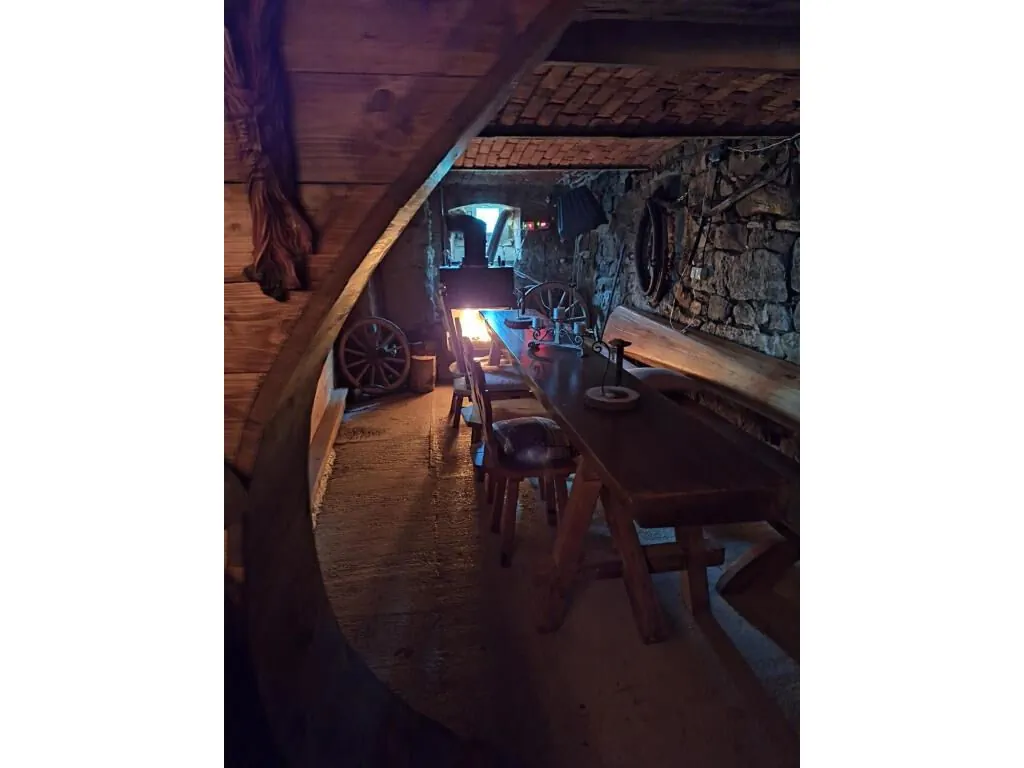 Agroturystyka Magnoliowy Zakątek Idzików - foto 10