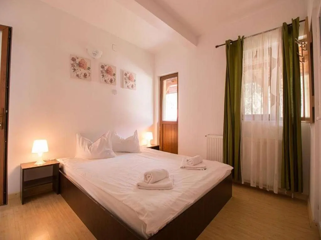Amber`s Villa Buşteni – Buşteni, România