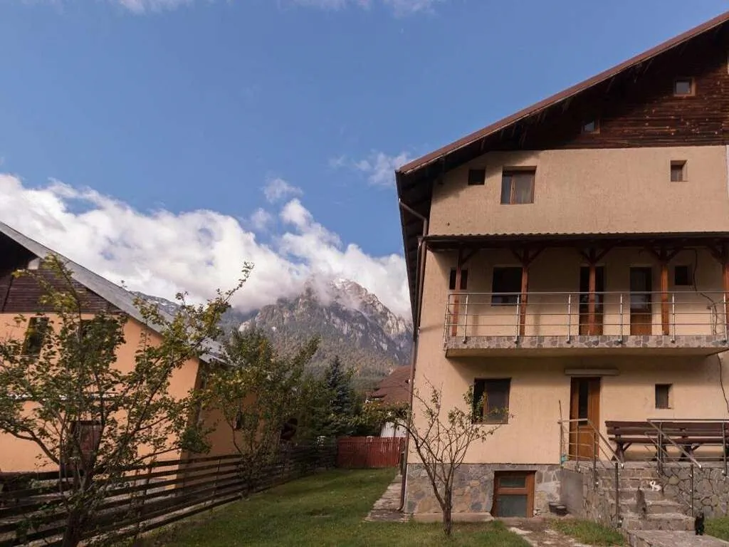 Amber`s Villa Buşteni – Buşteni, România