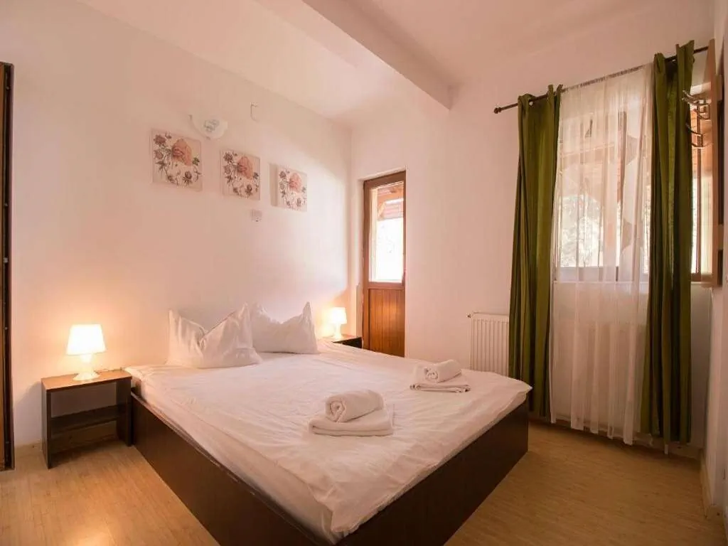 Amber`s Villa Buşteni – Buşteni, România