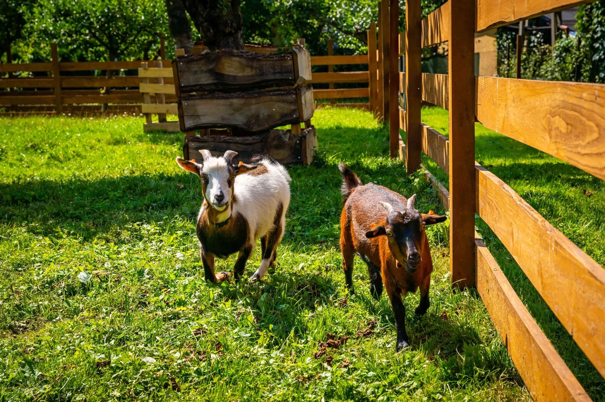 Agroturystyka Folwarczek Ustroń – Ustroň, Polsko