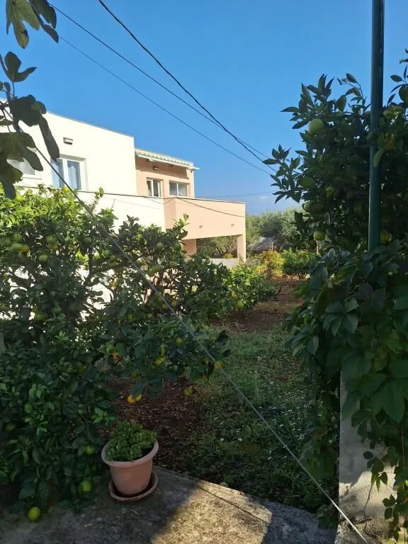 Apartments Ornela Slatine - foto 4