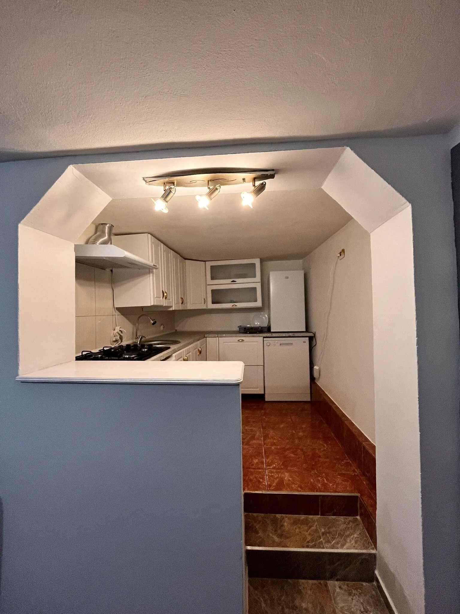 Casa Boitor Jidvei - foto 8