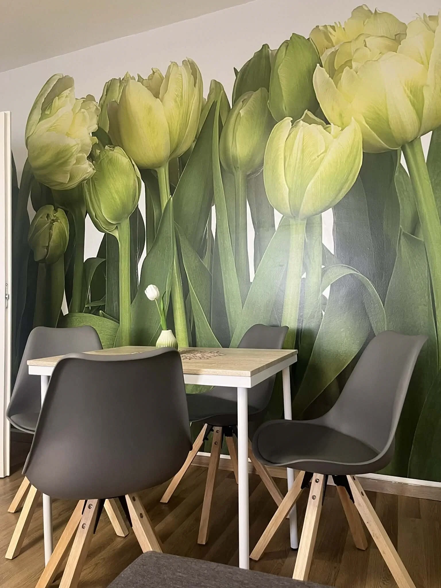 Green Harmony Apartman Pécs - foto 2