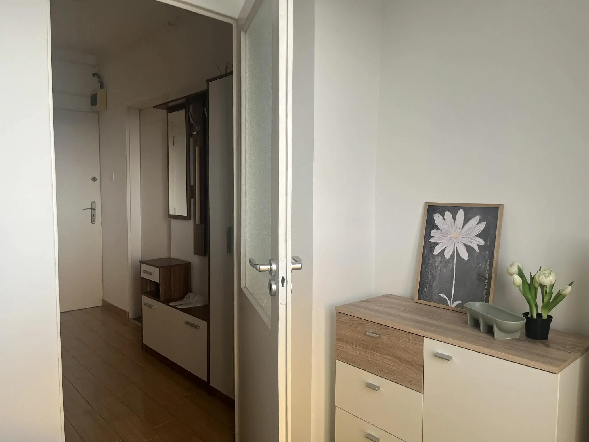 Green Harmony Apartman Pécs - foto 10