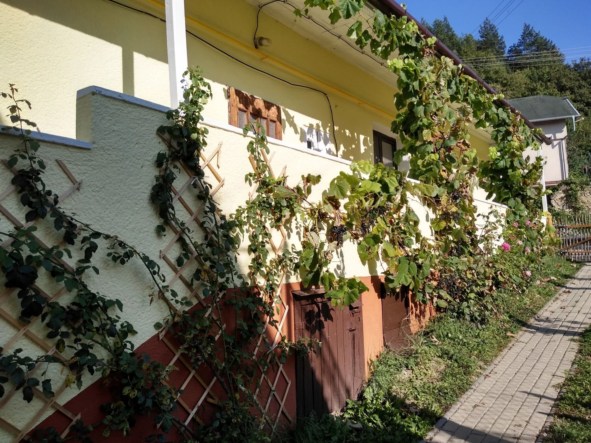 Chalúpka pod horou – Trenčín, Slovacia