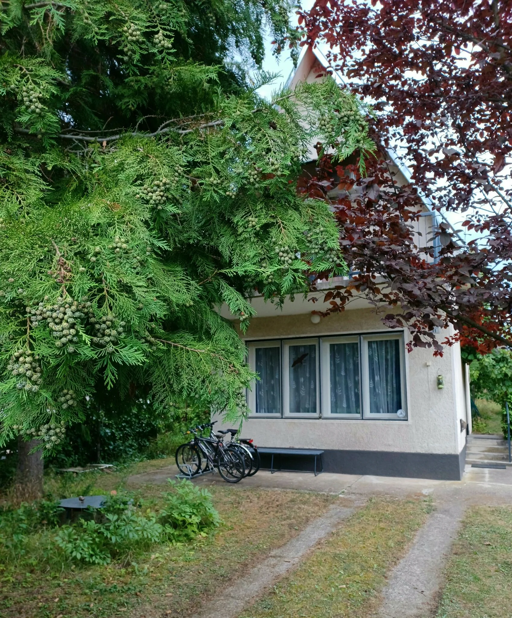 Nádas Üdülőház Diósjenő – Diósjenő, Ungaria