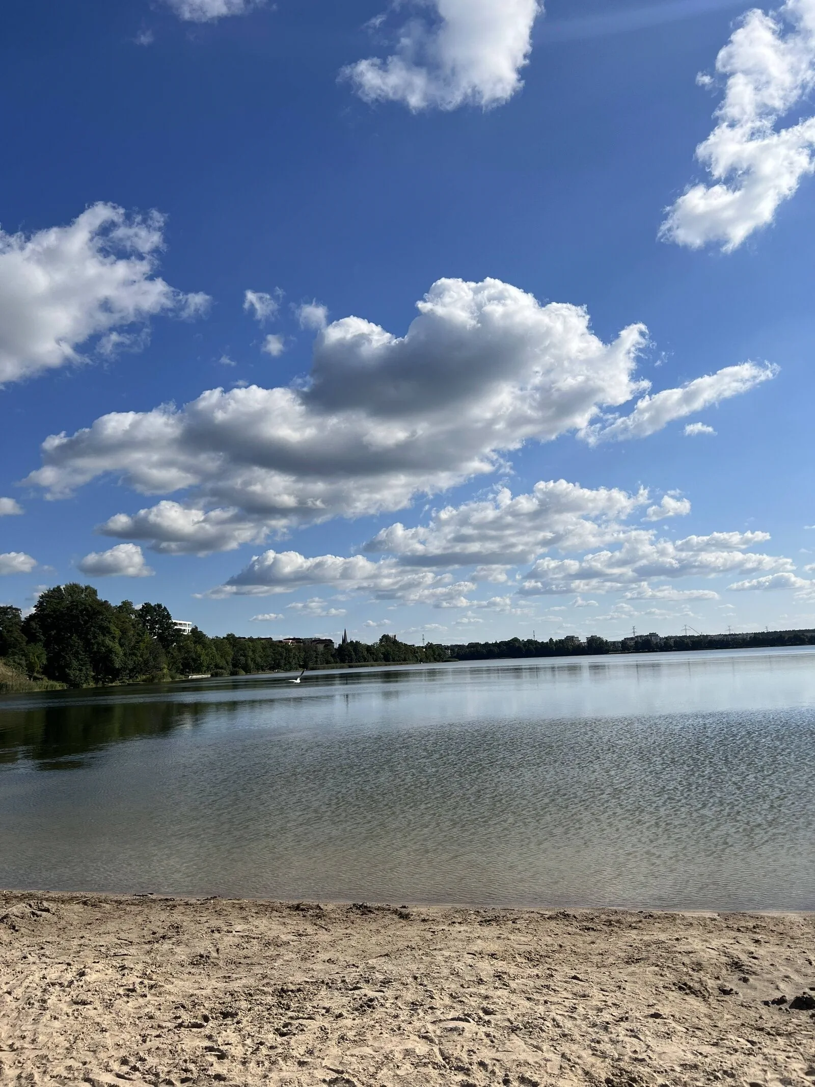 Apartament Masurian Home Ełk – Ełk, Polonia