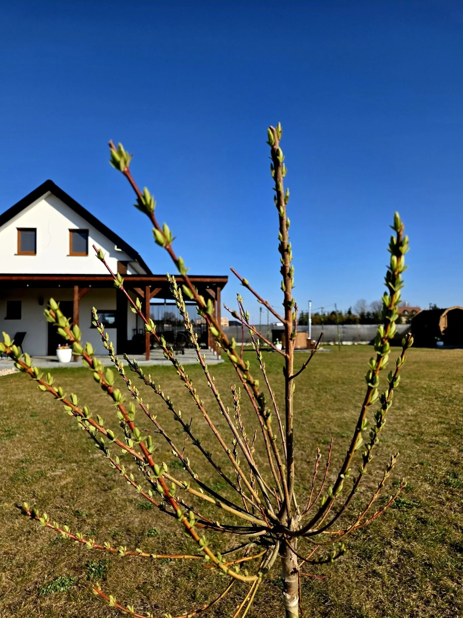 Domek  Chrztowski Zakątek Chrztowo  – Chrztowo, Polonia