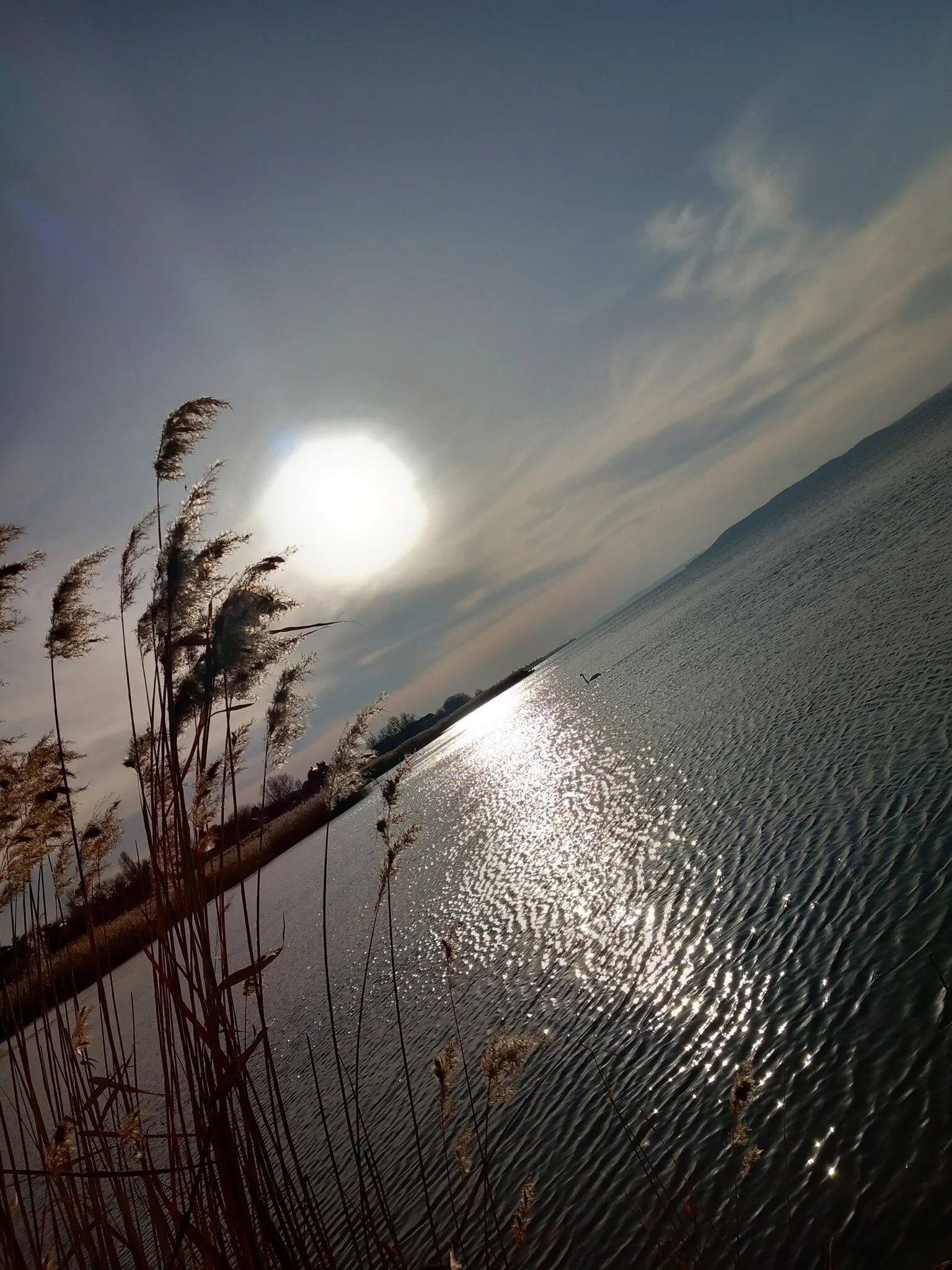 Black Swan Panoráma Apartman Siófok - foto 6