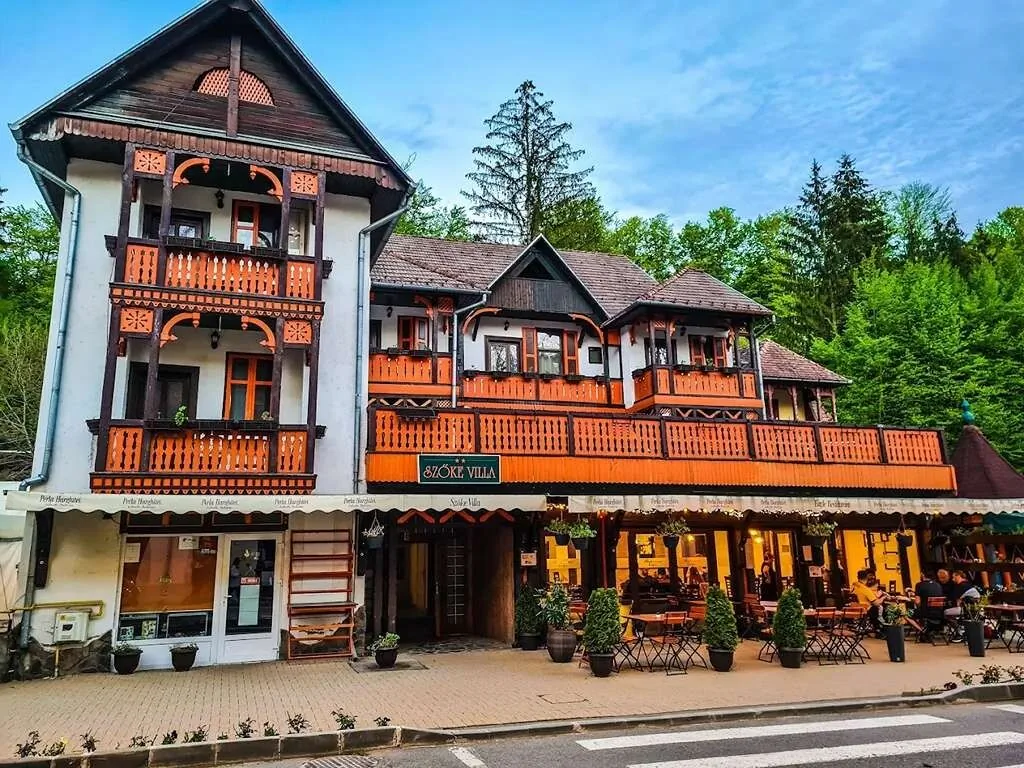 Villa Szőke Sovata – Sovata, România