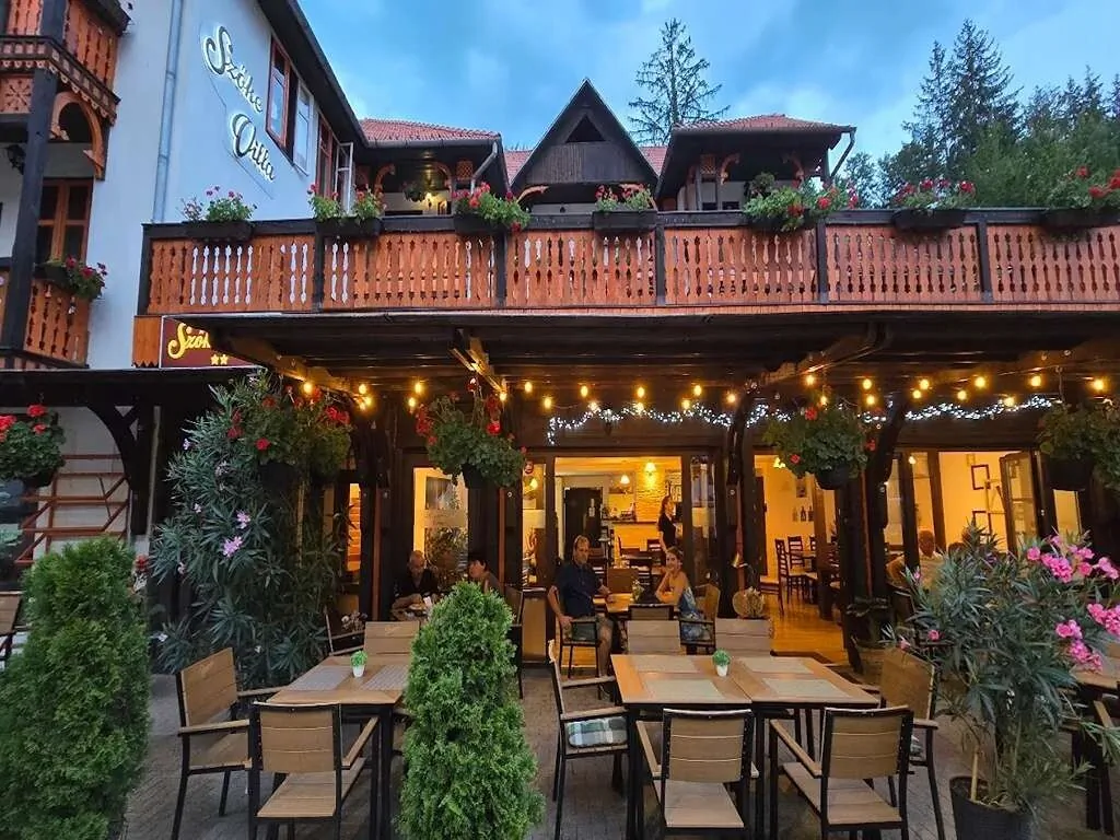Villa Szőke Sovata – Sovata, România