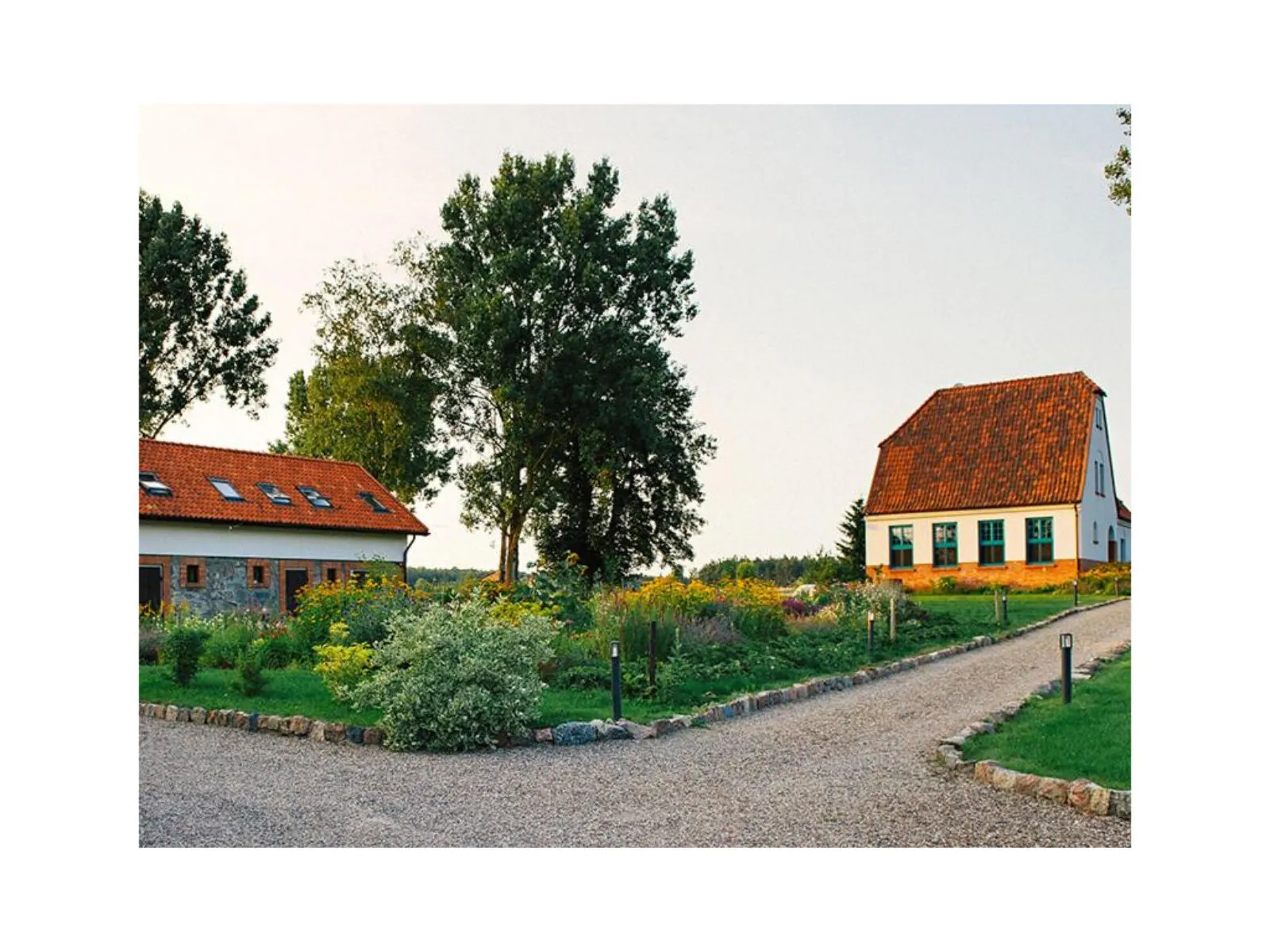 Agroturystyka Stara Szkoła w Browinie - foto 6