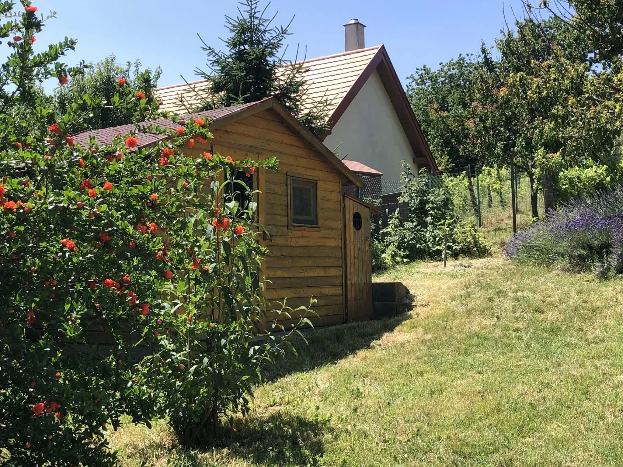 Bohó Vándor Vendégház Zalaszántó - foto 5