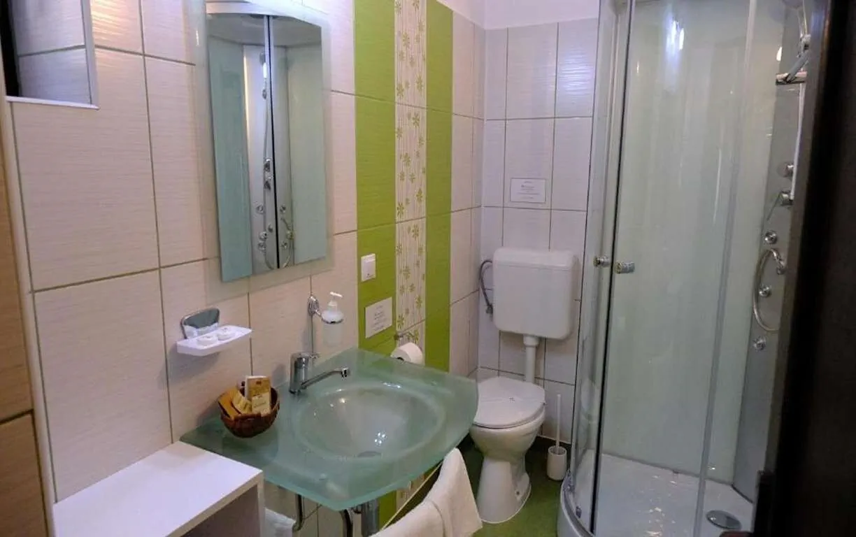 Pensiunea Nad Inn Sătic - foto 3
