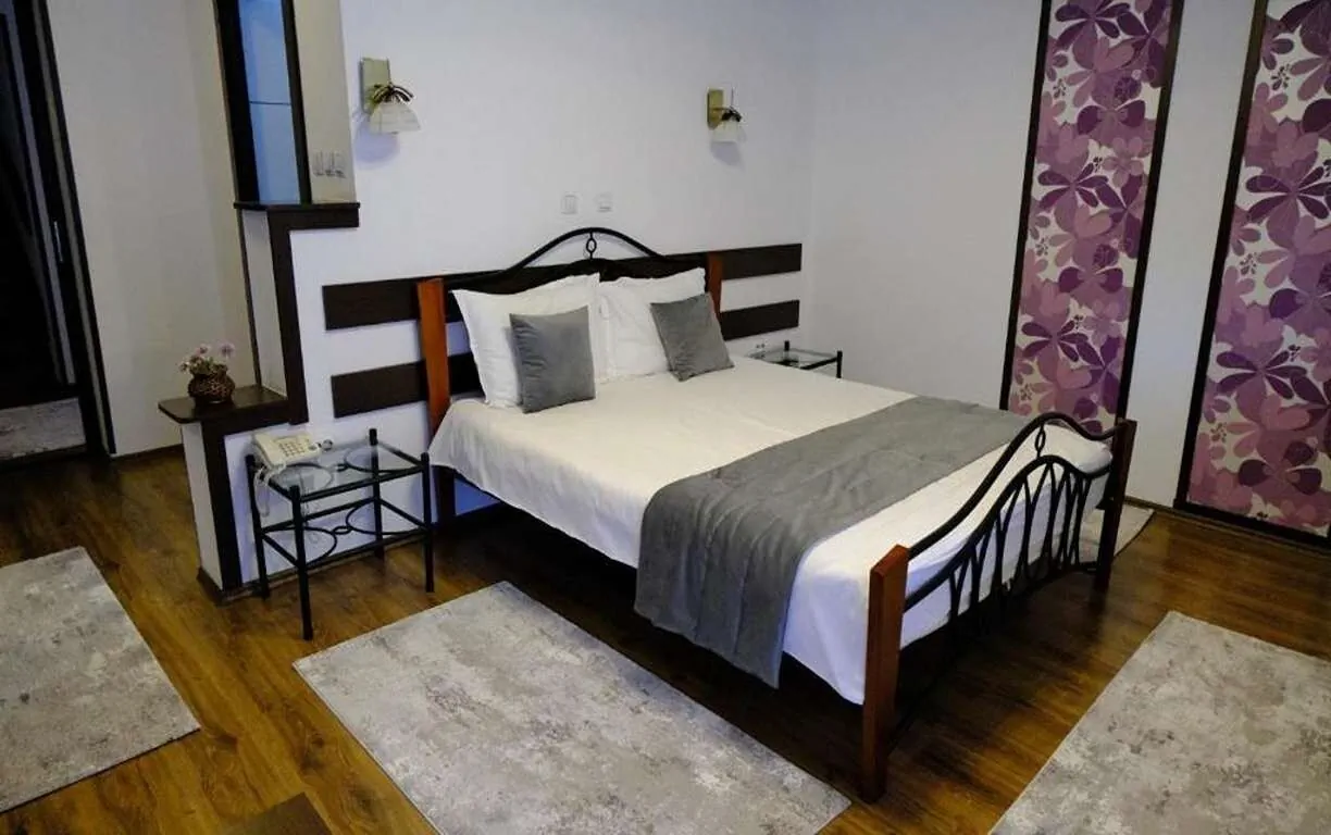 Pensiunea Nad Inn Sătic - foto 6