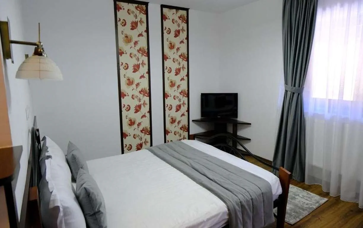 Pensiunea Nad Inn Sătic - foto 8