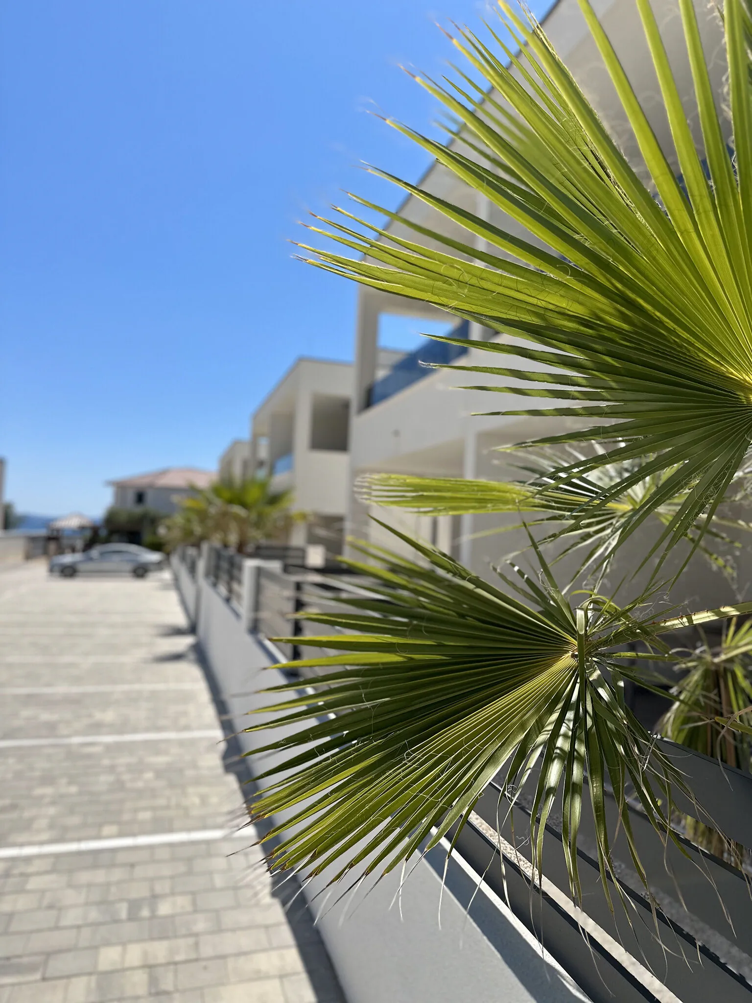 Apartments B Palm Tree Vir – Vir, Croația