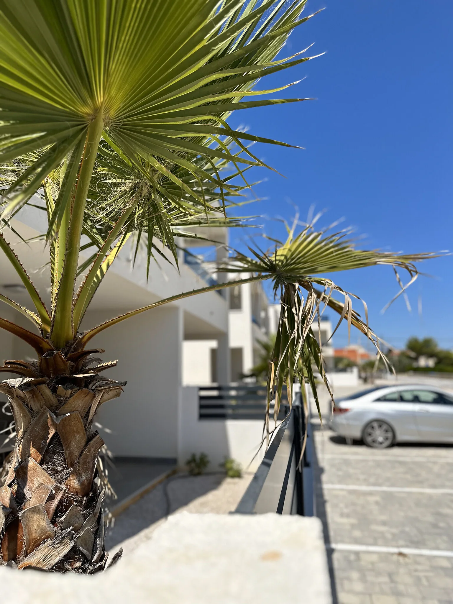 Apartments B Palm Tree Vir – Vir, Croația