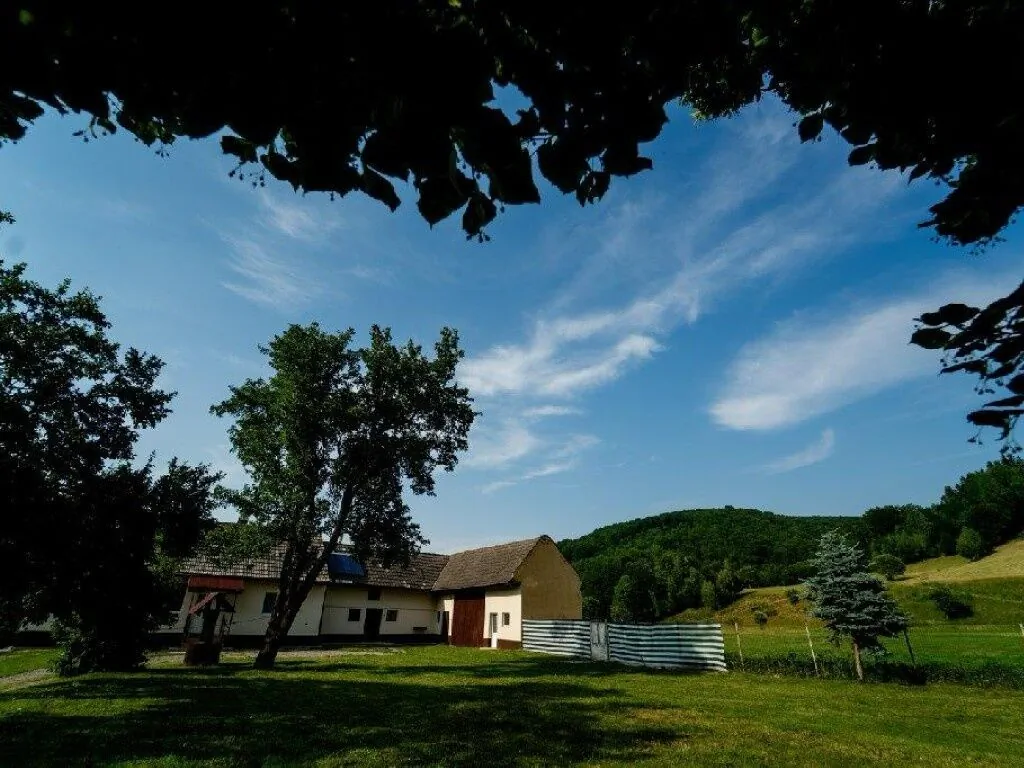 Casa Buzaiel 910 Vama Buzăului - foto 2