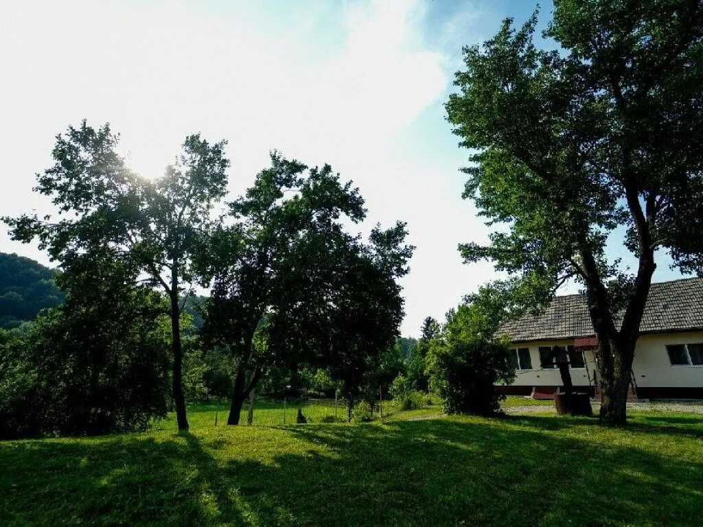 Casa Buzaiel 910 Vama Buzăului - foto 5