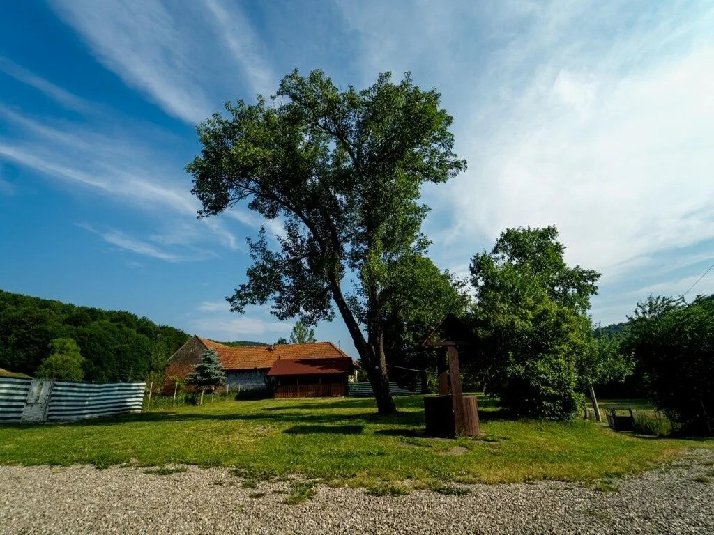 Casa Buzaiel 910 Vama Buzăului - foto 8
