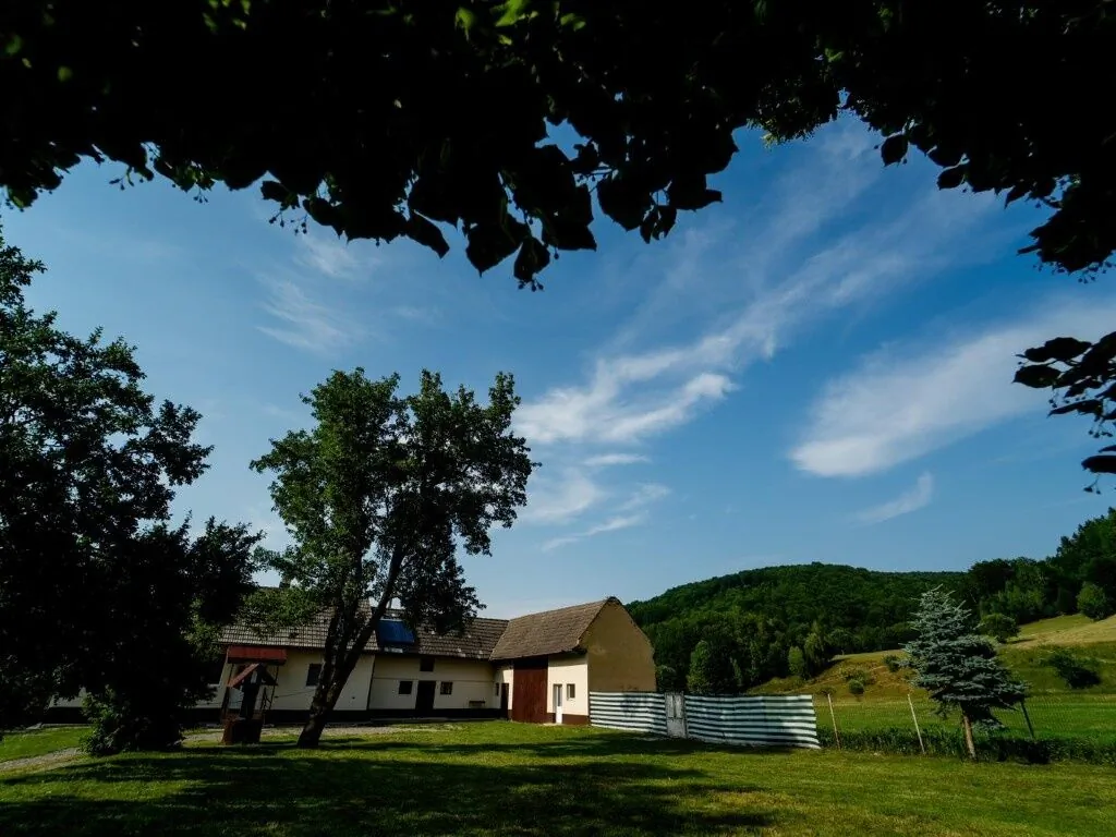 Casa Buzaiel 910 Vama Buzăului - foto 9