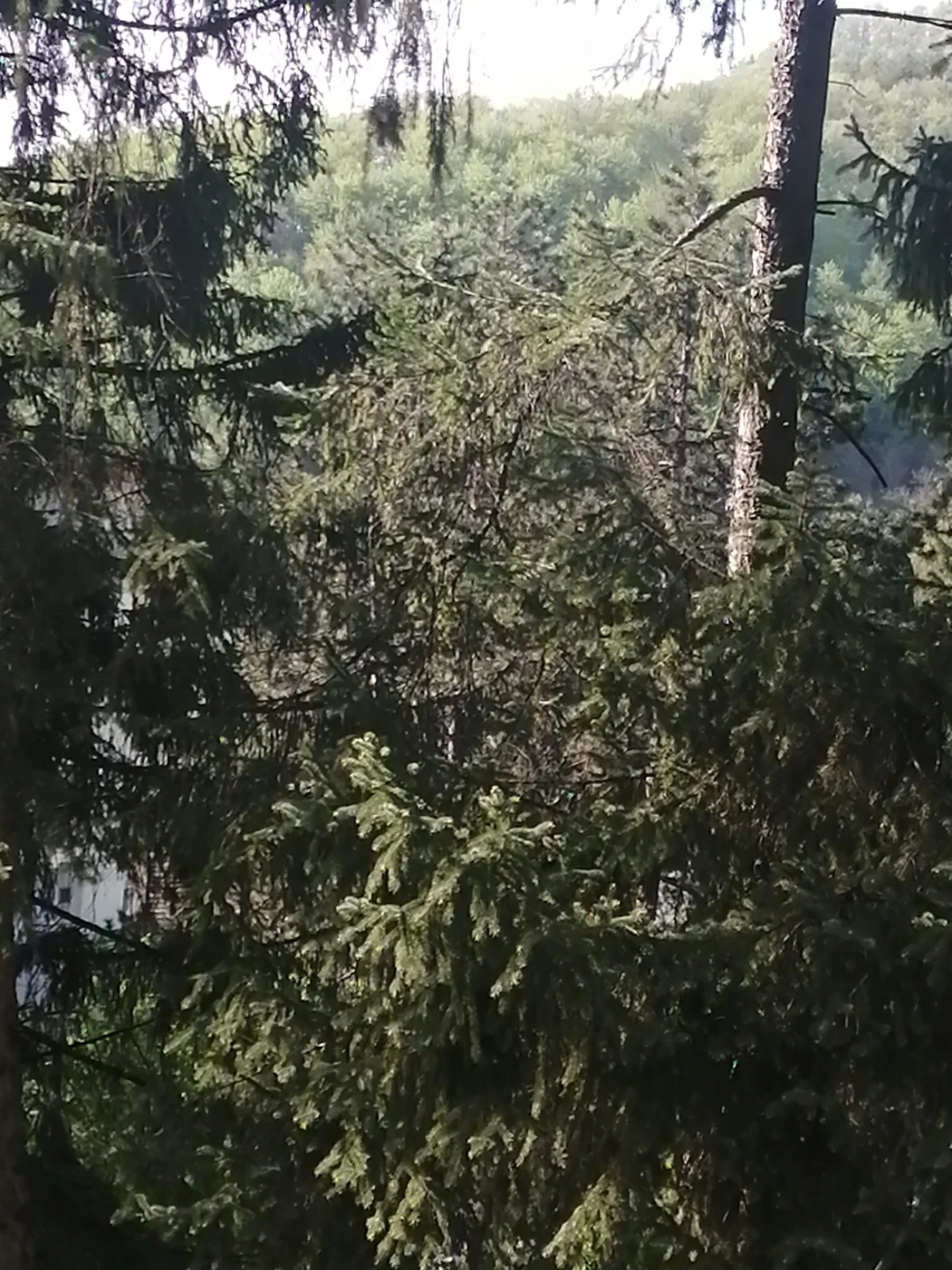 Hotel Alice Băile Olăneşti - foto 5