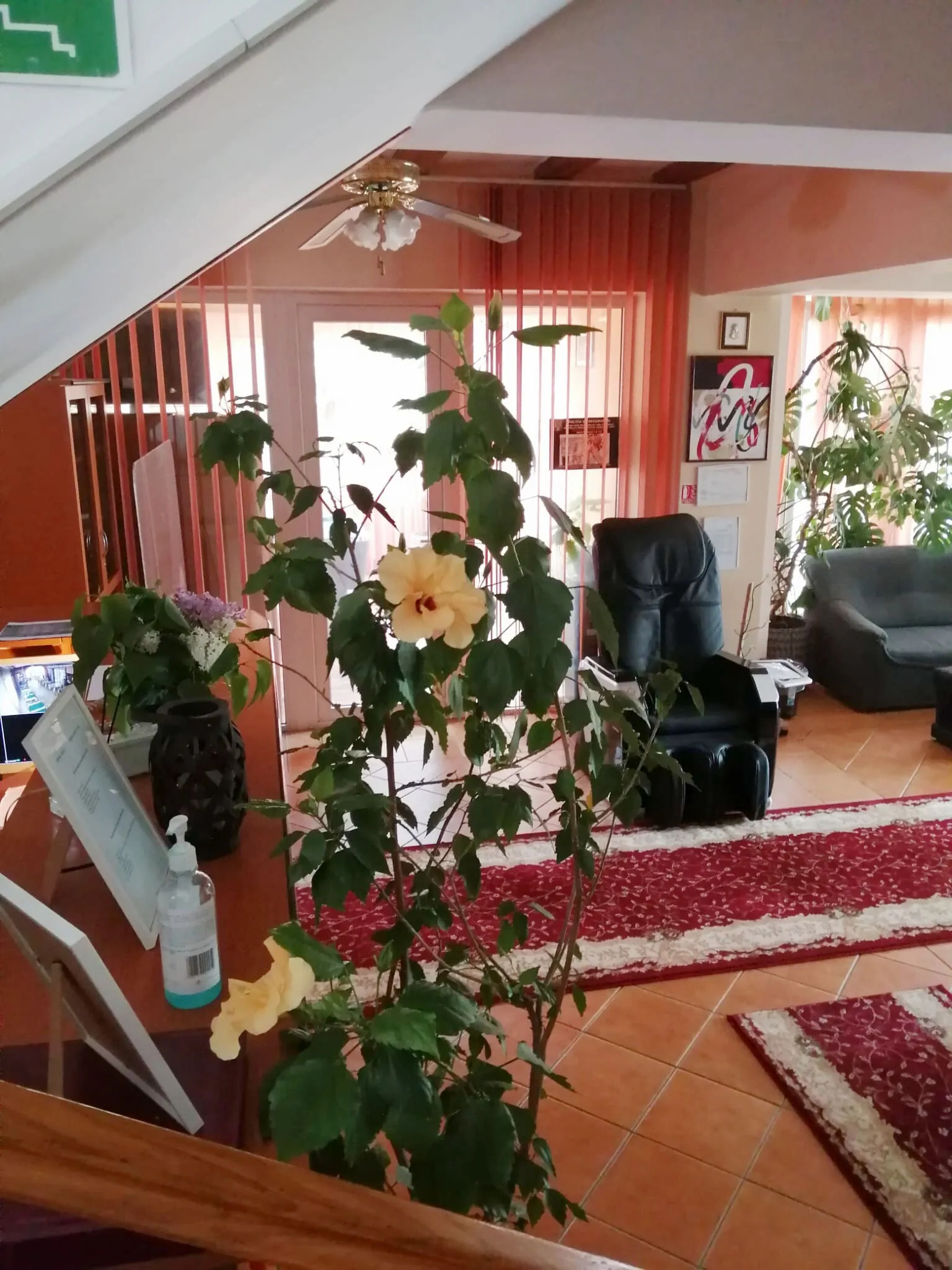 Hotel Alice Băile Olăneşti - foto 6